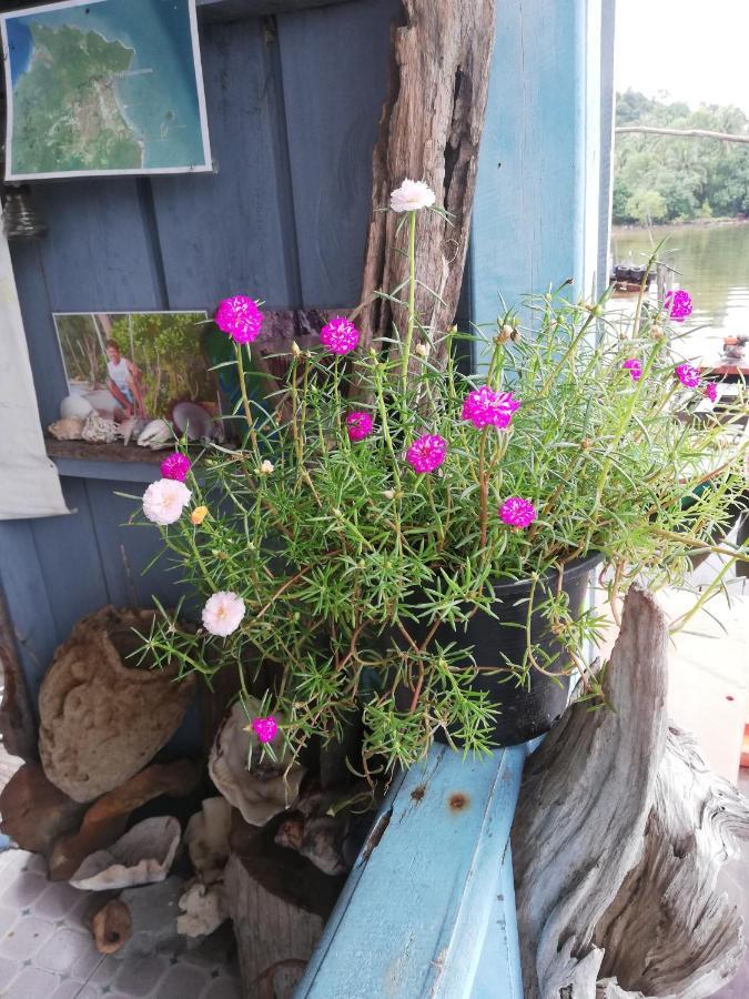 Firefly Guesthouse Prek Svay Village Zewnętrze zdjęcie